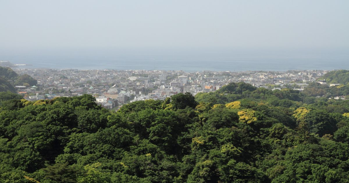 緑に囲まれた静かな住宅地ですが、土地の起伏、アップダウンが多い。さらに当該地は道路面から擁壁までおよそ7~8mの高さがあったのです。予備調査時にGoogleマップで確認した際にはせいぜい2~3m程度かと甘く見ておりました。 さらに擁壁を覆うように雑草が生い茂り、どうやったら上部まで登れるのか見当もつきません。両隣りの家の斜面に階段が取り付けられていたので登ってみましたが、当該地は両隣りより更に高く、てっぺんを見ることができませんでした。