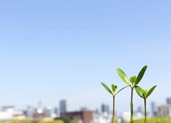 荳榊虚逕｣髢｢騾｣逕ｻ蜒十荳榊虚逕｣ (72)