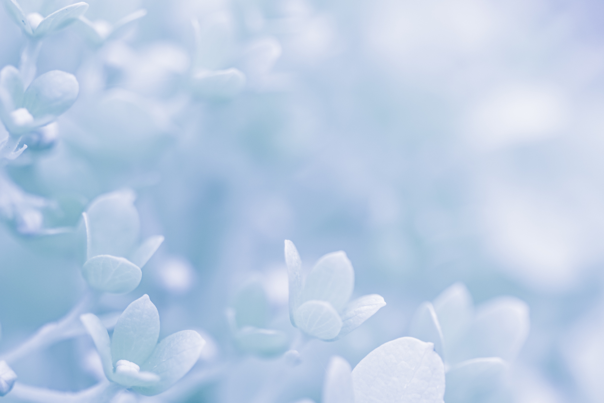pixta_117398660_M